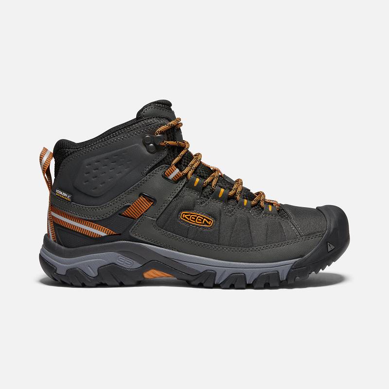 Keen Targhee EXP Mid Waterproof Wanderstiefel Herren DE-57613 Raven/Inca Gold - Keen Herrenschuhe Sc